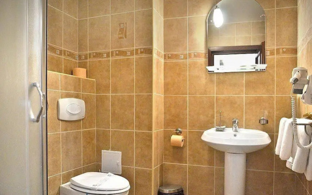 Hotel Hanul Domnesc