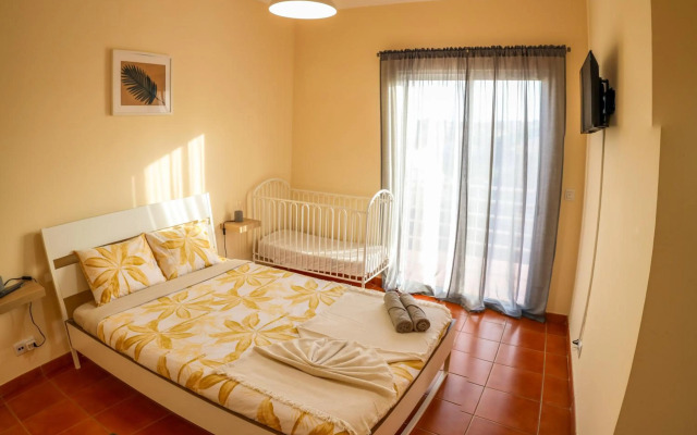 O DRAGOEIRO da Madalena!