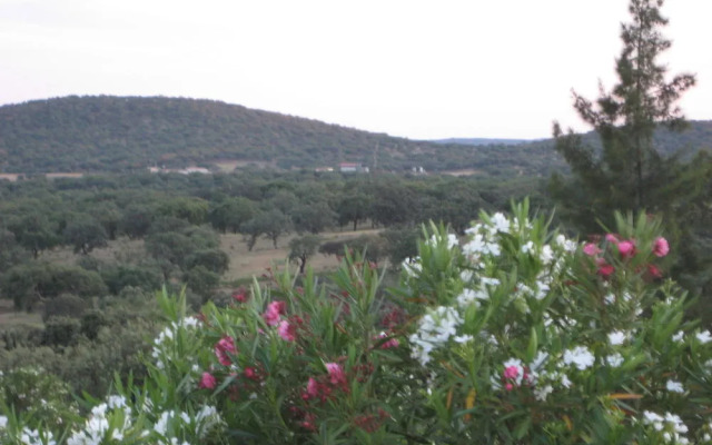 Monte dos Apóstolos