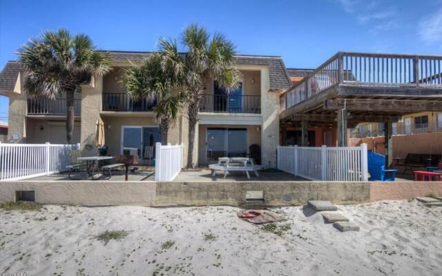 Sunbird Paradise - 1383972