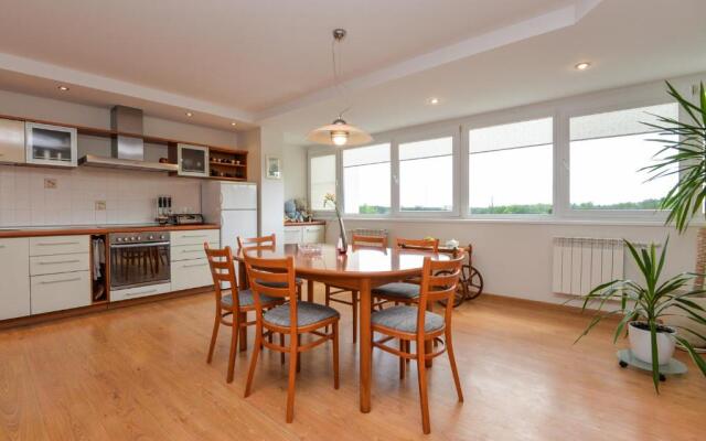Druskininkai Apartment
