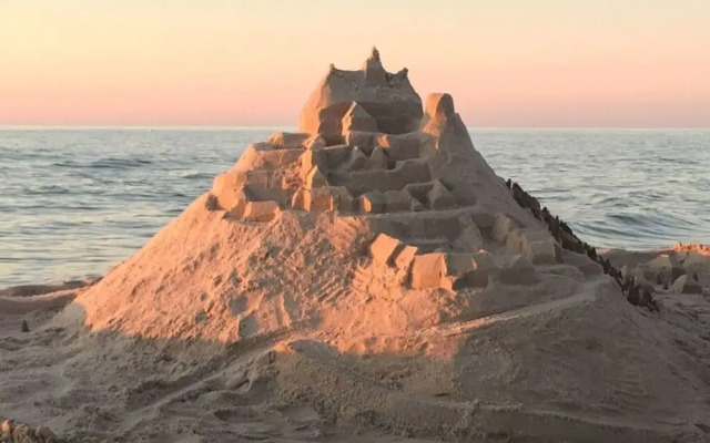 Black-headed Gull Comfortable Holiday Residence
