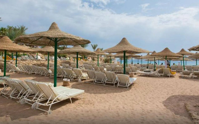 Oonas Dive Club