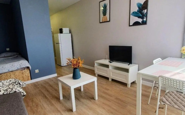 Cozy apartment on Michurina street 58