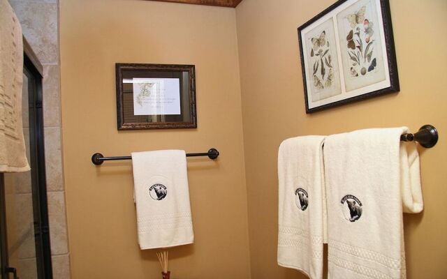 Black Bear Lodge of Sapphire