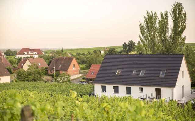 Aux pieds des vignes - Studio - 4 pers