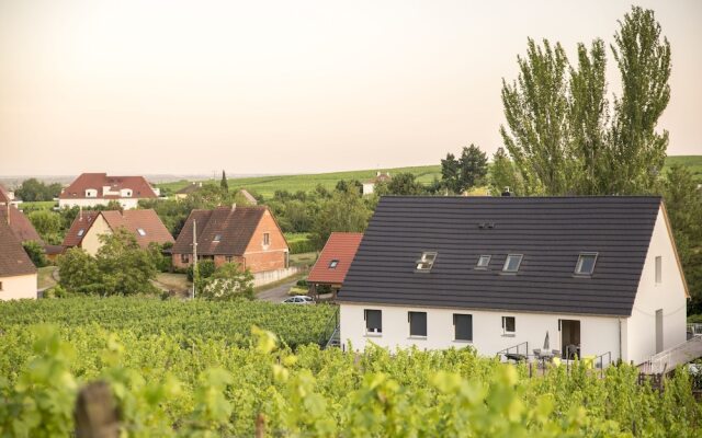 Aux Pieds Des Vignes Studio 4 Pers