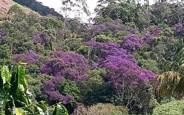 Recanto dos Amigos