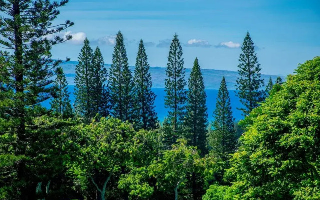 Kapalua Golf Villa #25T4