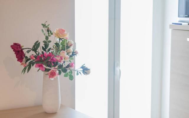 Cologna 15 Public Garden