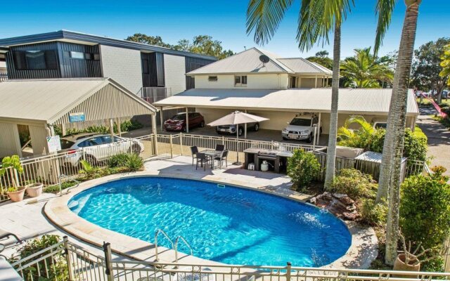Noosa River Palms