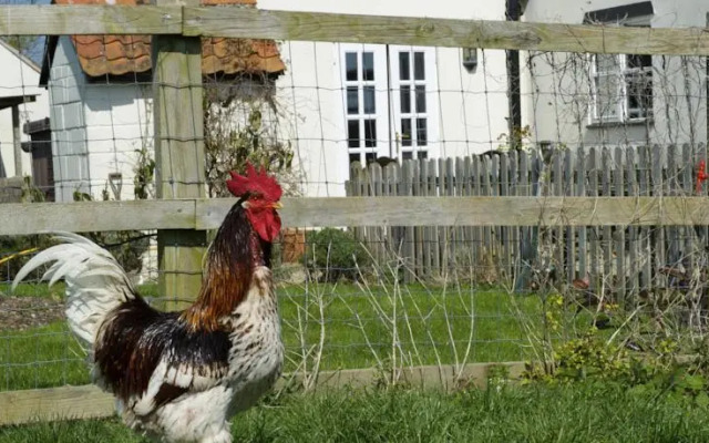 Eastbrook Cottage