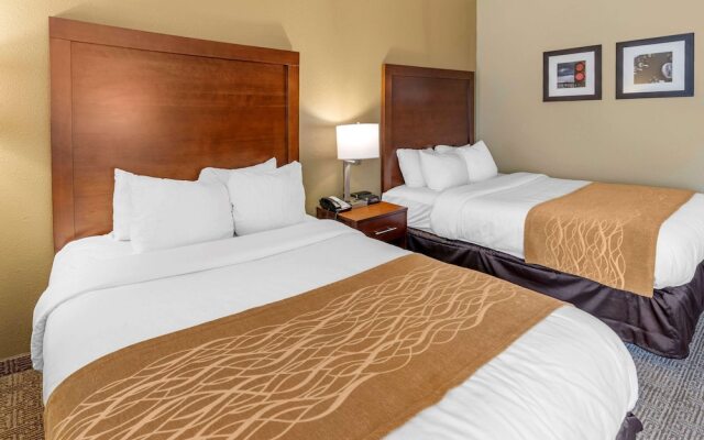 Comfort Inn And Suites Lincoln Al