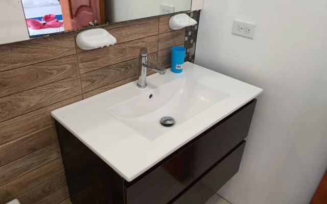 Hostal Flightless Cormorant