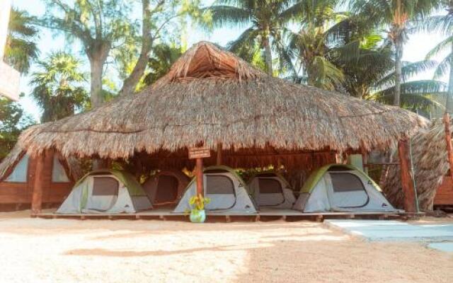 Mapache Hostel