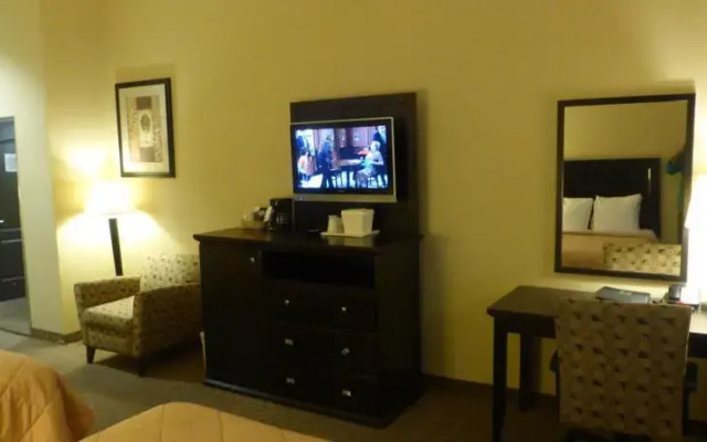 Comfort Inn & Suites Downtown