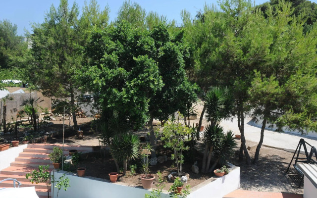 The Garden