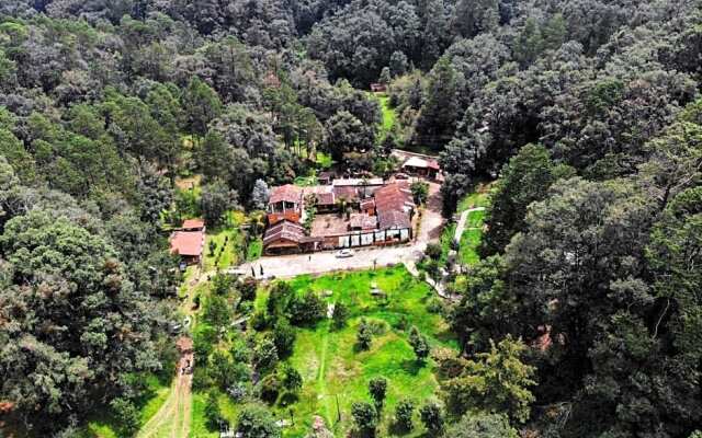 Romanticas Cabañas En Bosque