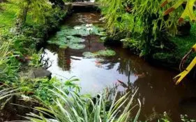 Munduk Don Biyu