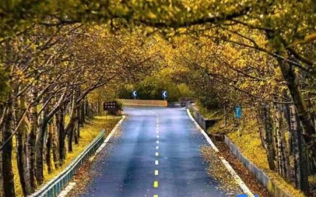 Wutaishan Huixinyuan Homestay (Zhenrongsi Branch)