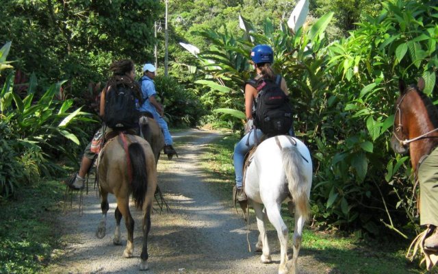 Celeste Mountain Lodge