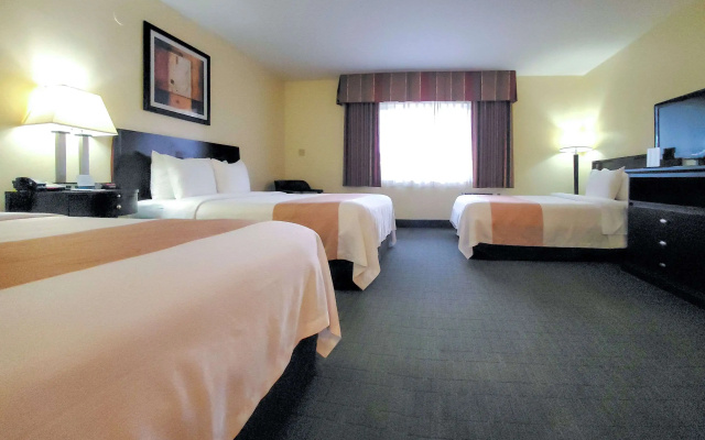 Quality Inn & Suites Anaheim At The Park