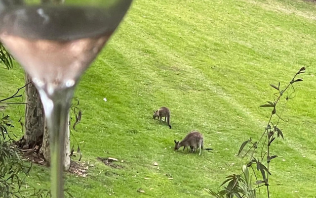 Villa Provincial, Cypress Lakes Resort, Two Bedrooms both with Private Ensuites, 2 KING or 4 SINGLE BEDS, Sensational Views