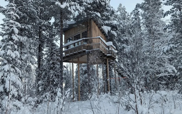 Aurora Lodge
