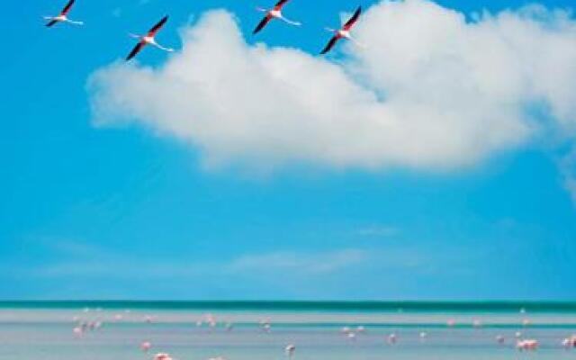 Bed and Breakfast Il Nido