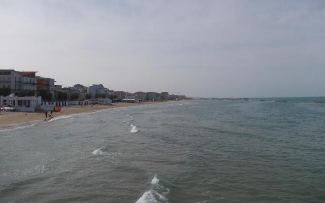 Il Ritrovo Delle Coccinelle