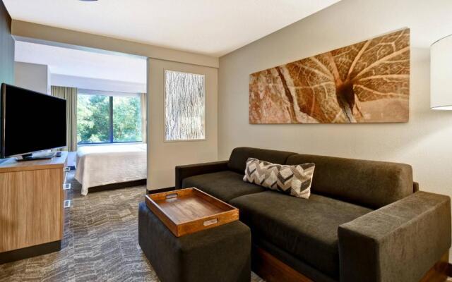 SpringHill Suites by Marriott Atlanta Kennesaw
