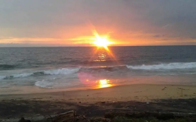Reef Bangalow