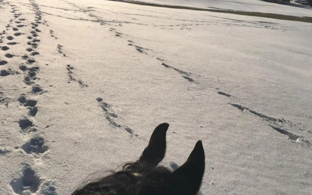 Hochkopfhaus zum Auerhahn