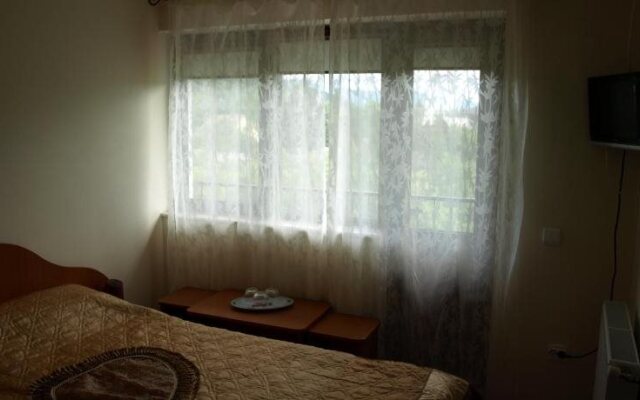 Pension Dor de munte