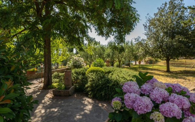 Rosa Montelopio in Montelopio