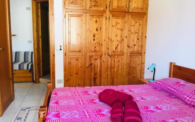 Holiday House