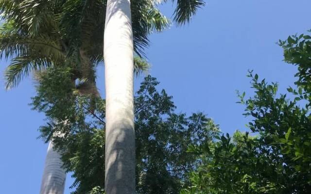 San Angel Hotel Boutique