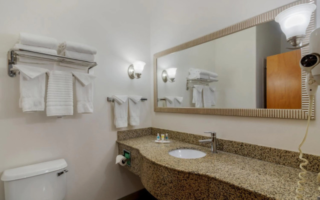 Comfort Suites Stockbridge Atlanta South