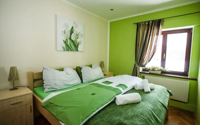 Villa in Moravia With Infrared Sauna