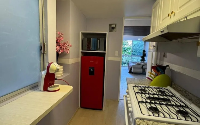 Apartment Near Reforma Agel