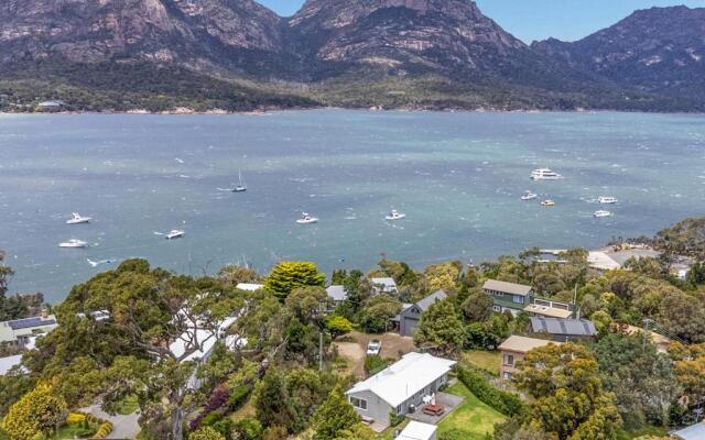 Fish @ Freycinet