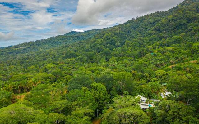 The Sutton - Boutique Jungle Experience