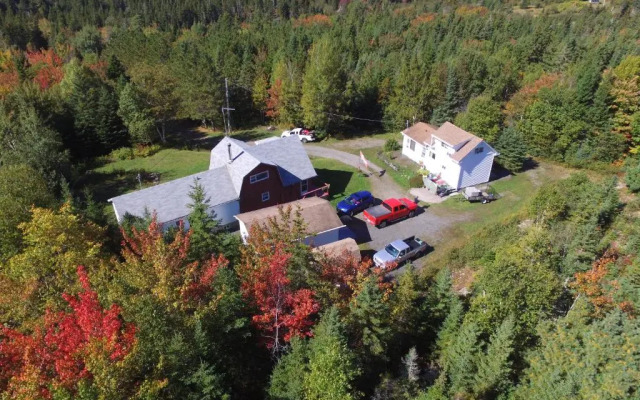 Mountainside Hideaway Cottage & Suites