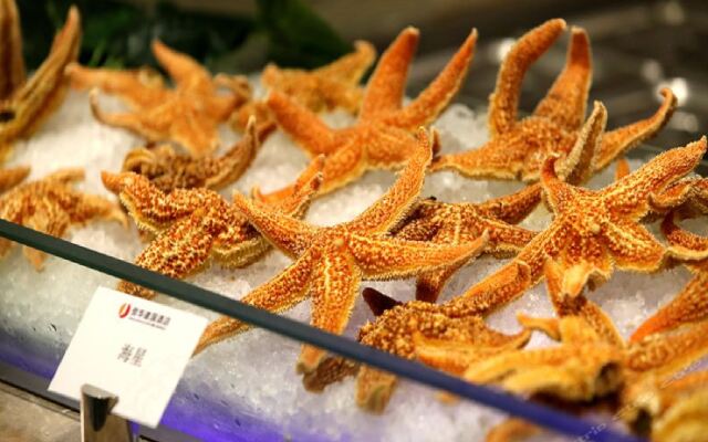 Xinhua Jian'guo Hotel