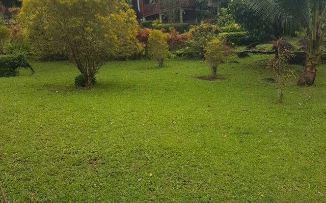 Phanom Bencha Mountain Resort