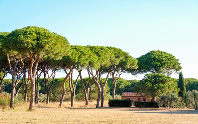 La Canova