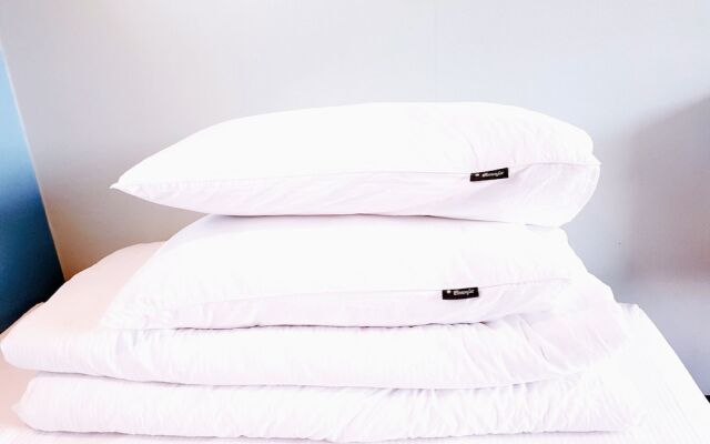 The Dan Village Guesthouse