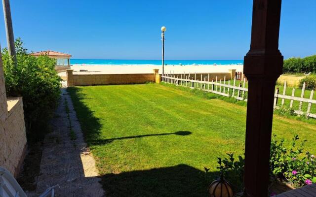 الاسكندرية