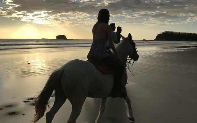 Playa Hermosa Ecolodge