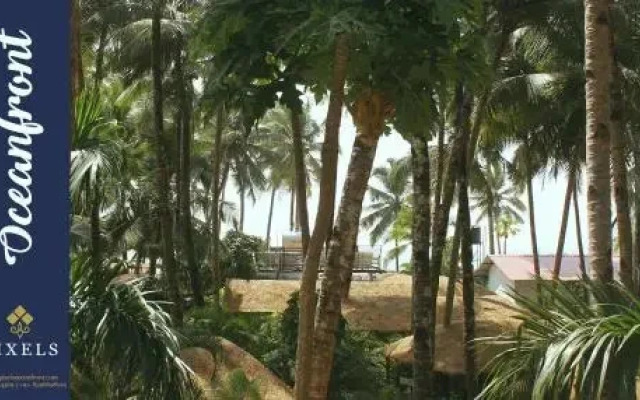 Pixels Oceanfront